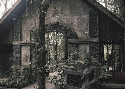 Gallery Thumbnail
