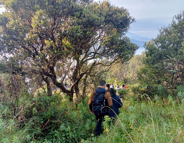 Yogyakarta: 3-Day Bromo & Ijen Volcano Adventure with Lodging