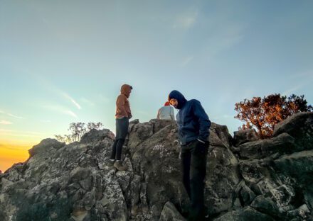Gallery Thumbnail