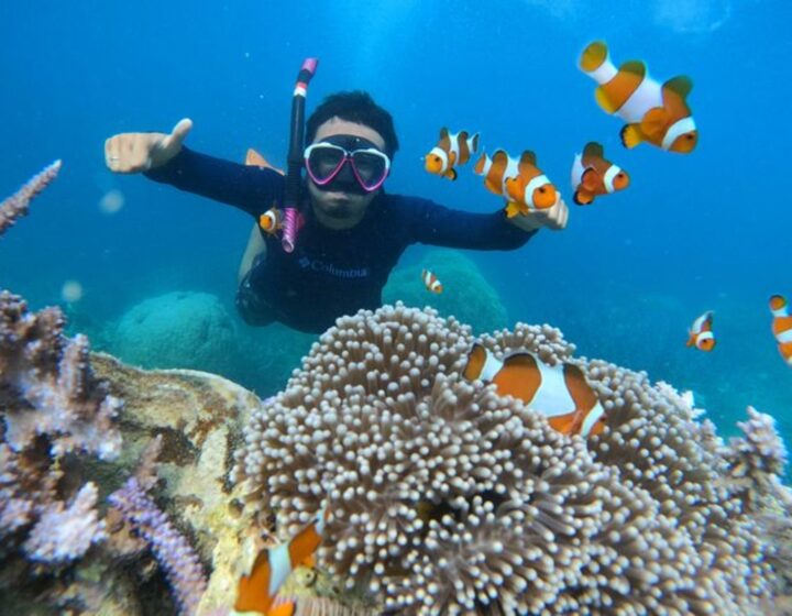 From Jepara: Karimunjawa Archipelago 3-Day Snorkeling Tour